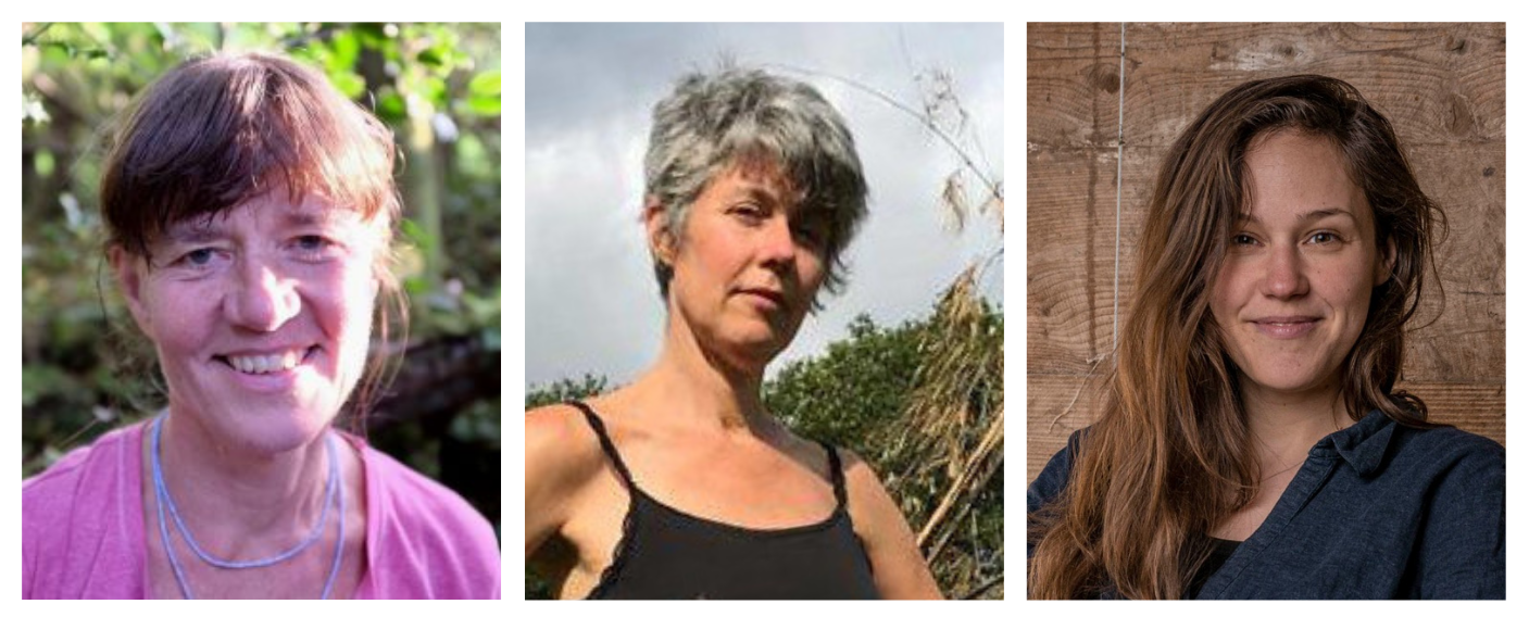 Sophy Banks, Dita B Vizoso, Theresa Fend