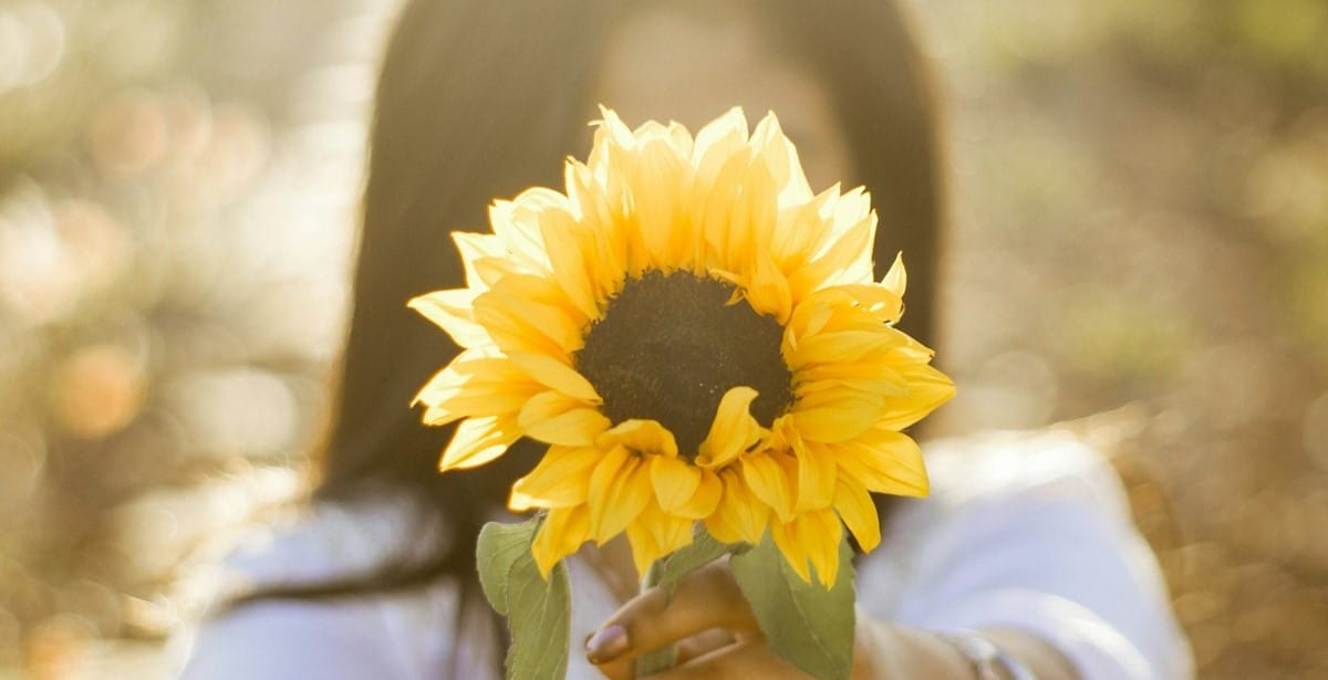 Offering and Receiving Feedback. Webinar with Root Cuthbertson on April 15th