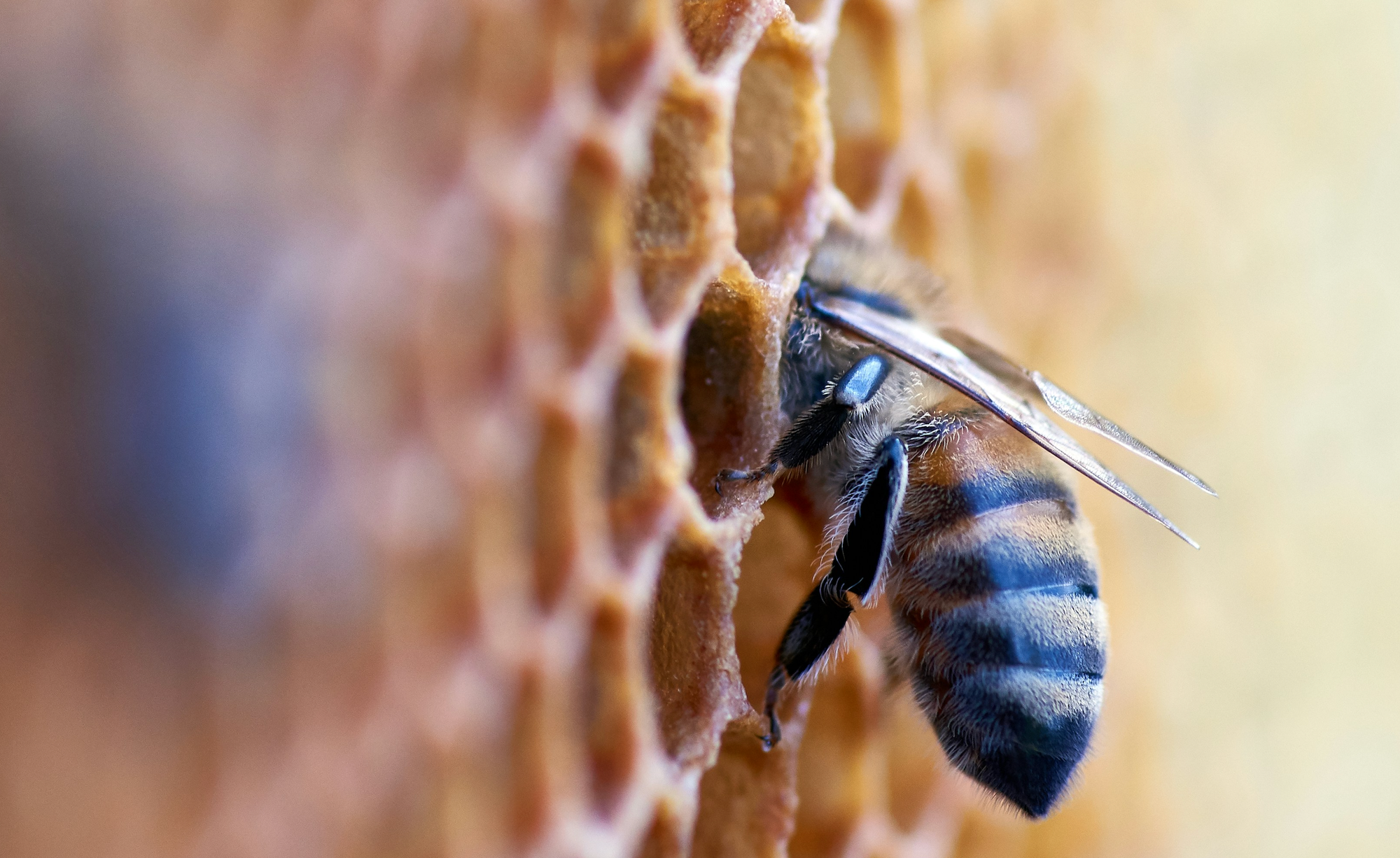 Playing Together, Transforming Together: The Journey of the Cultural Transformation Game